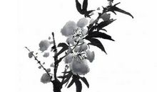 生肖属龙爸爸和什么生肖属相的宝宝相合相冲