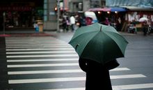 这些生肖最是没有提分手的勇气