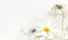 2020年4月4号清明节出生男孩起什么名字好