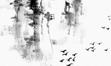 生肖属蛇的父母不适合生什么生肖属相的小孩