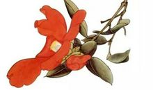 生肖属蛇的父母和什么生肖属相的孩子最相合