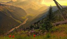 鼠年祝福语顺口溜，七大祝福语快接招