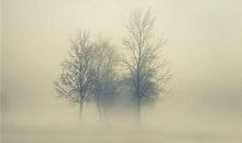 12生肖冷战时都在想什么？中枪！