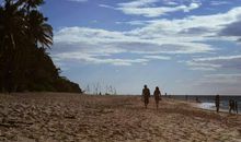 AB血型性格解析有什么特点 AB型血的人十分理性