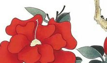 生肖属马的父母和什么生肖属相的孩子最相合