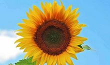 3月开始到4月，钱财广进，容易中头奖，喜获丰收的四生肖