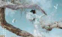 对于习惯了稳定的金牛座，这三大星座就是他们最理想的人生伴侣