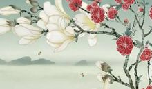 生肖属蛇男和生肖属鸡女2020年生宝宝好不好，相合？