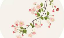 女孩取名：2020年11月4号出生的女孩好听有气质的名字介绍