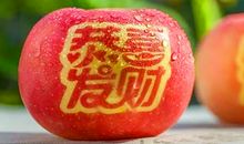 11月底财运红火，横财大发，财来运转的四大生肖