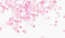 生肖属马的父母不适合生什么生肖属相的小孩