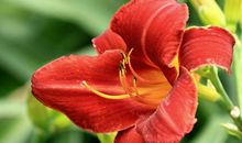 11月19号起吉星庇佑，紫气东来，财运越来越旺的四属相