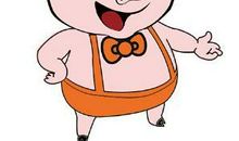 属猪人养鸡风水有什么宜忌？(图文)