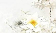 2020年5月5号立夏出生的女孩如何起名字