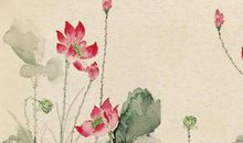 生肖属马男和生肖属猴女2020年生小孩好吗