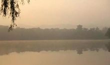 双十一异性缘超好的生肖女，财运也跟着旺起来，横财频发生哦