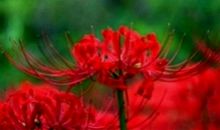 值得托付终身的三大生肖，成熟稳重有上进心，对感情很专一