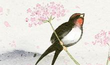 梦见漂亮的鸟什么征兆 预示什么