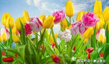 坚守婚姻的承诺！愿与丈夫同甘共苦，风雨同舟的生肖女