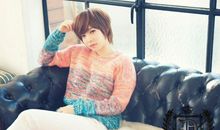 不去猜测 只留一团悬疑入梦乡的四大生肖