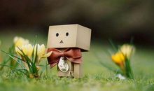 进入20年之后，运势突飞猛进的三大生肖