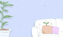 客厅明财位宜摆放什么 这几种植物