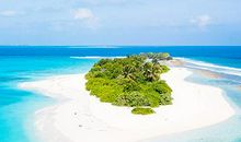 揭秘各血型的智商排行，你是第几