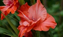 从2月16号开始，开启幸运模式，事业如鱼得水，被吉星高照的星座