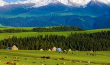 五行八字本命佛查询，本命佛可以抵挡祸患、消灾避难