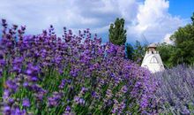 如何起文艺的QQ分组名字