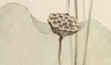 2020年生肖属牛正月一月开业黄道吉日，这7天日子不错