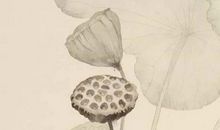 2020年生肖属鼠正月一月开业黄道吉日，精选本月8天好日子