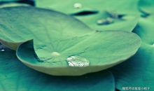 四大生肖惹不起，2.28号起，好运不断，和气生财，大吉大利