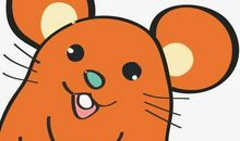 属鼠2020年运势及运程