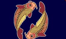 12月底，自我鞭策，成功逆袭，这个星座即将大展宏图！