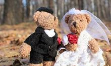 属羊的属相婚配表