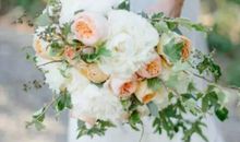 2020年生肖属兔人农历三月宜订婚的好日子，分享10天吉日