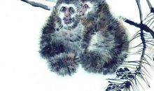 未来15天，财源滚滚，大富大贵，能够快速变有钱人的生肖