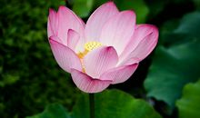 三月28号开始，事业大吉大利，诸事一帆风顺，多福多寿的四个生肖