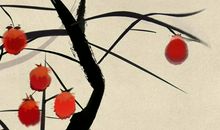 2007年生的13岁生肖猪人2020年运势好吗，吉星入驻，财运极佳