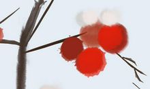 2019年生的1岁生肖猪人2020年运势好吗，运势好转，好运连连