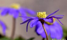 3月起好运来，横财发的4大生肖，财库丰隆，有望日进斗金