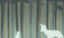 孕妇做梦梦到猫什么意思 预示什么