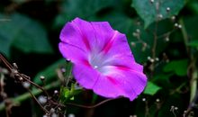 11月21号开始财运高照，纳财纳福旺家业，财神登门送财的四属相