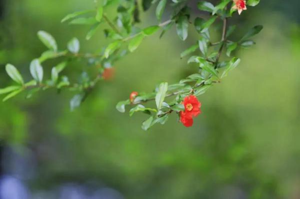 不出三天，喜事、桃花运红透半山腰，5月前有贵人、后有财神，6月睡着都笑醒