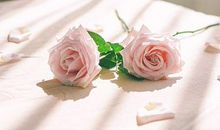 恋爱时，疑心病最重的生肖男友！