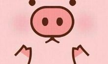 同事眼中你是猪一样的队友吗？