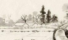 生肖属马的女人2020年事业运，有贵人提携，事业上升空间较大