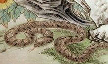 抽中富贵签，4大生肖月底迎好运，财运升温，六六大顺不差钱