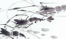 2020年9月22号秋分出生男孩起什么名字好